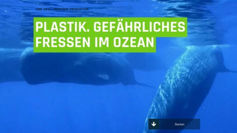 Startbildschirm der Web-Dokumentation von ARTE über Plastik in Meeren