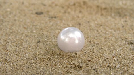 Foto einer Perle im Sand in Normalgröße