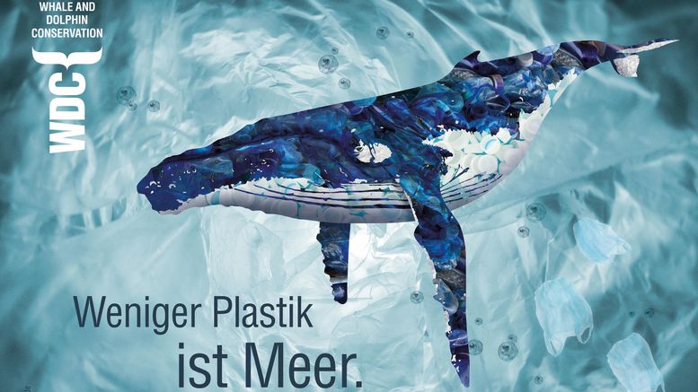 Motivbild von "Weniger Plastik ist Meer": Ein Wal