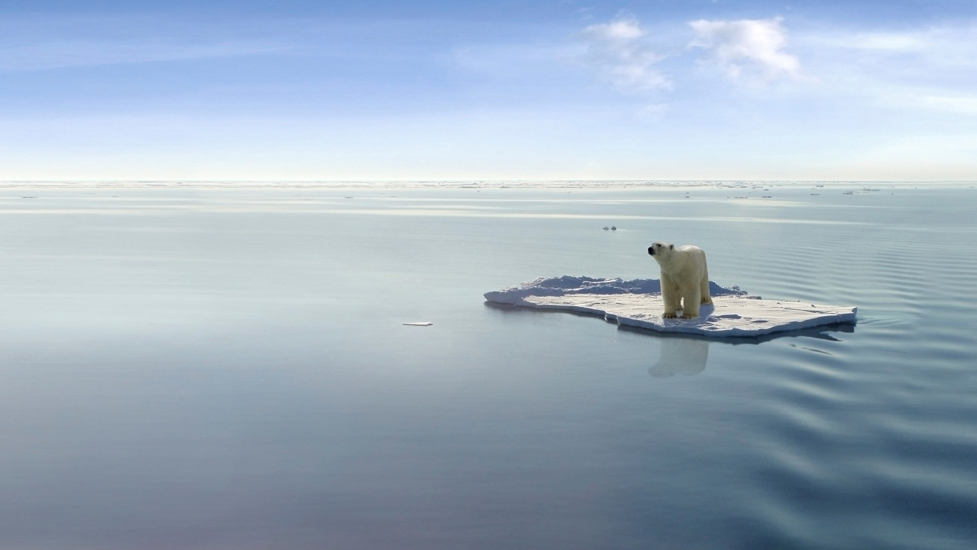 Unterwasserroboter erforschte ein Jahr lang die arktische Tiefsee
