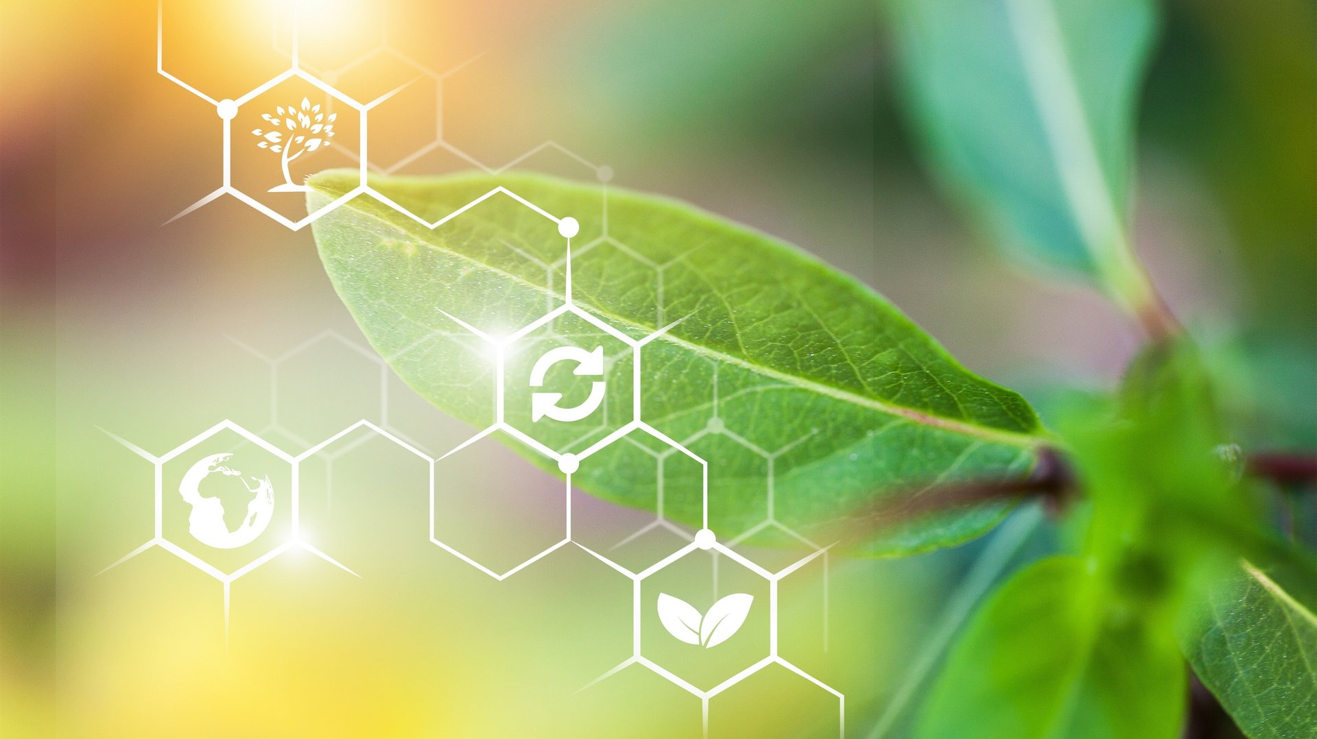 Symbolbild, Link: https://www.wissenschaftsjahr.de/2020/das-wissenschaftsjahr/themen/pflanzenvielfalt-und-innovationen-fuer-eine-nachhaltige-landwirtschaft-und-biobasierte-produkte