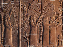 Ausstellung "Sprache - Schrift - Bild"