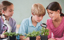 Kinder in der Schule