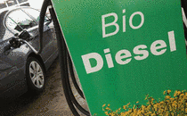 Bio Diesel