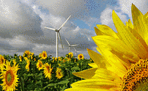Windenergiegewinnung