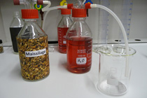 Farmagas 2 Farmagas 2