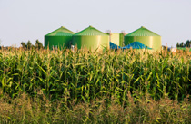 Farmagas 1 Farmagas 1