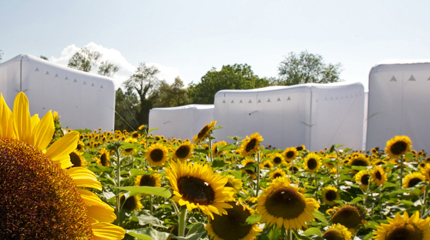 Ausstellung „Entdeckungen“