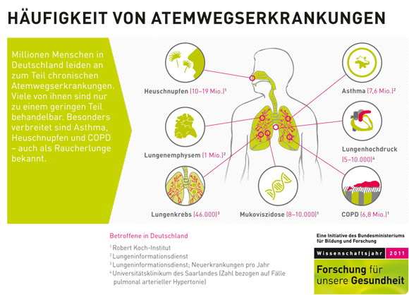 Infografik Lungenfunktion