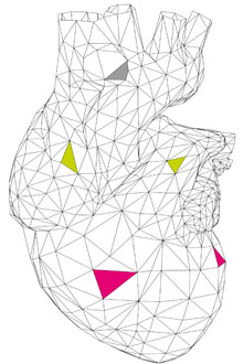 Gittermodell von Herz