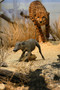 Ein Warzenschwein flieht vor einem Geparden.
