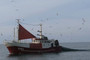 A fishing trawler in the waters around Denmark