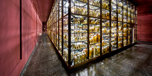 Naturkunde Museum Berlin, Nasssammlung