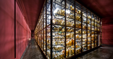 Nasssammlung © Museum für Naturkunde Nasssammlung © Museum für Naturkunde