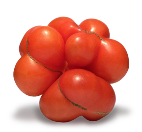 Nahaufnahme einer Tomate in ungewöhnlicher, mutierter und nicht runder Form