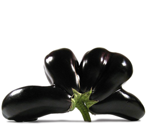 Nahaufnahme einer Aubergine in ungewöhnlicher, mutierter Form