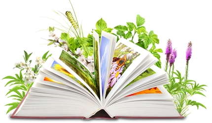 Aufgeschlagenes Pflanzen-Bestimmungsbuch auf dem Pflanzen wachsen und Schmetterlinge fliegen (Foto: Lukiyanova Natalia / frenta / Shutterstuck.com)