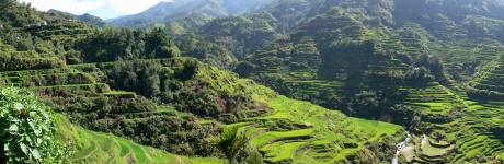 Reisterrassen bei Banaue auf den Philippinen