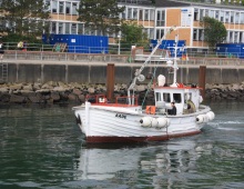 Quelle: Folke Mehrtens, Alfred-Wegener-Institut Quelle: Folke Mehrtens, Alfred-Wegener-Institut