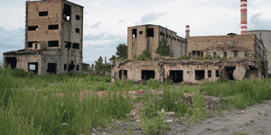 Insektenforscher Michael Kuhlmann auf einer Wiese in Südafrika