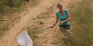 Bienenforscherin Kathrin Krausa auf Insektenfang