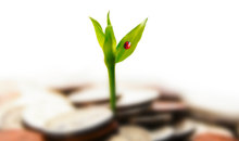 Aufruf zum Ideenwettbewerb zum nachhaltigen Wirtschaften Ein Blatt wächst aus etwas heraus