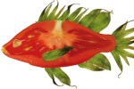 Tomatenfisch