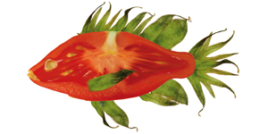 Tomatenfisch
