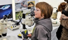 Der Wissenschaftssommer 2012 in Lübeck lud ein, selbst zu experimentieren und mit Wissenschaftlerinnen und Wissenschaftlern zu diskutieren. Quelle: Thorsten Wulff | WiD