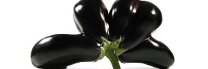 Mutierte Aubergine