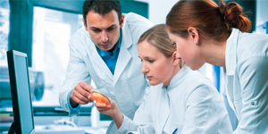 Wissenschaftler in weißen Kitteln