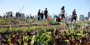 Garten in der Stadt (c) ZALF