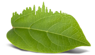 Illustration aus einem Blatt, aus dem die Skyline einer Stadt herausragt