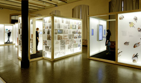 Foto der Ausstellung "Zukunft leben"