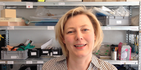 Prof. Dr. Gesche Joost