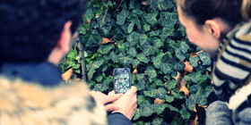 Citizen-Science-Plattform