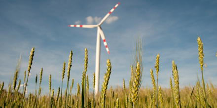 Ein Windrad auf einem Feld.