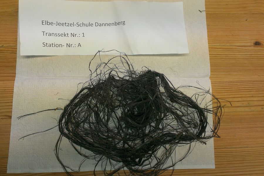 Fundbild der Gruppe Jeetzelpiraten