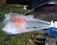 Fundbild der Gruppe Ninezedstars