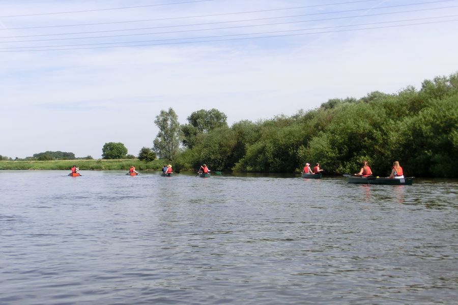 Fundbild der Gruppe Die Biologiker