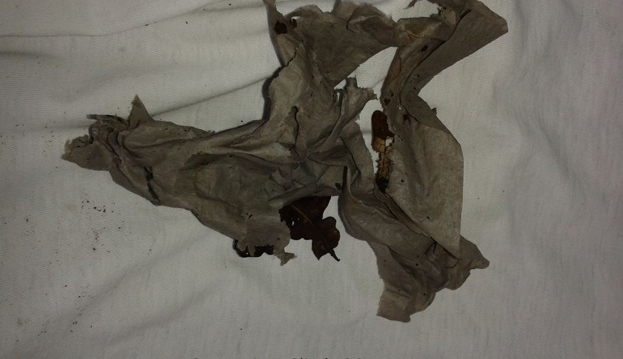 Fundbild der Gruppe Glinder Au