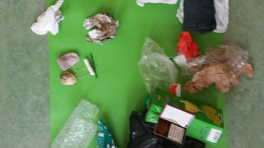 Fundbild der Gruppe WPU NaWi Klasse 8 Gemeinschaftsschule am Seminarweg in Bad Segeberg