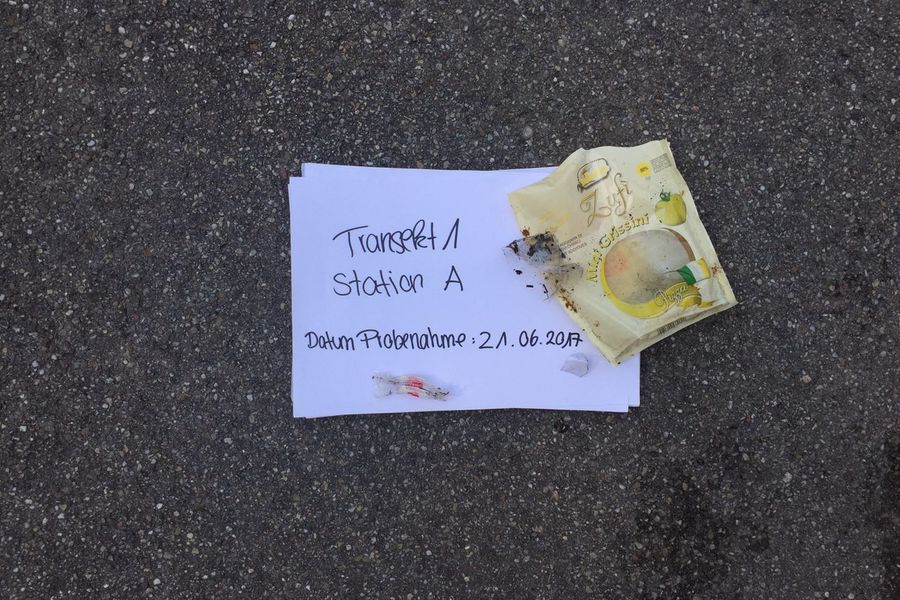 Fundbild der Gruppe Klasse 8aI MRS Hl. Blut Erding