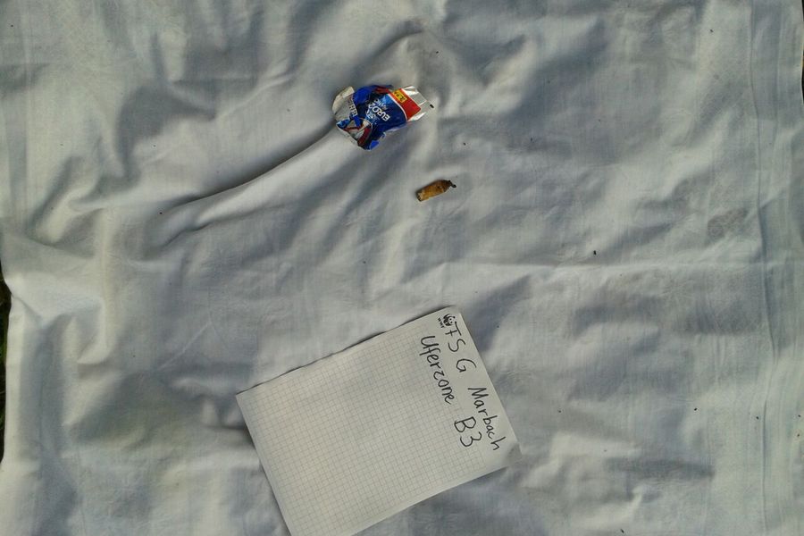 Fundbild der Gruppe Friedrich-Schiller-Gymnasium