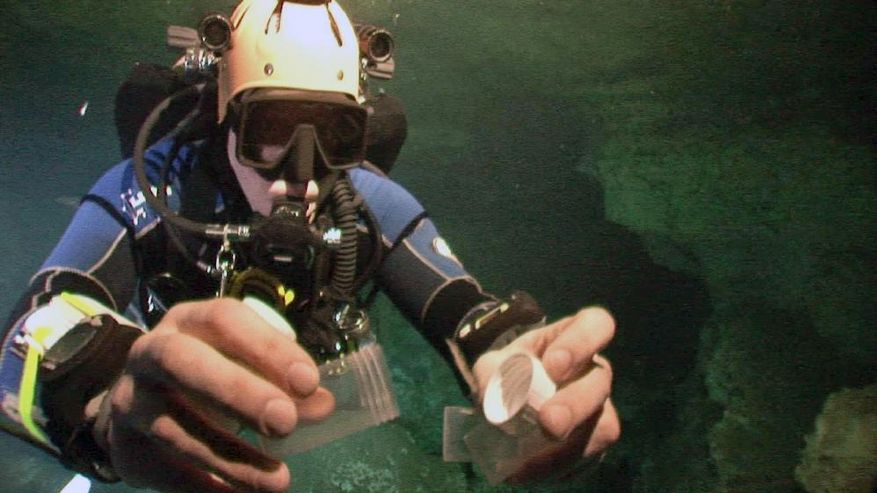 Dr. Björn Marcus von Reumont sucht im Höhlensystem “Systema Crustacea” in Mexiko in 25 Metern Tiefe nach Remipedien