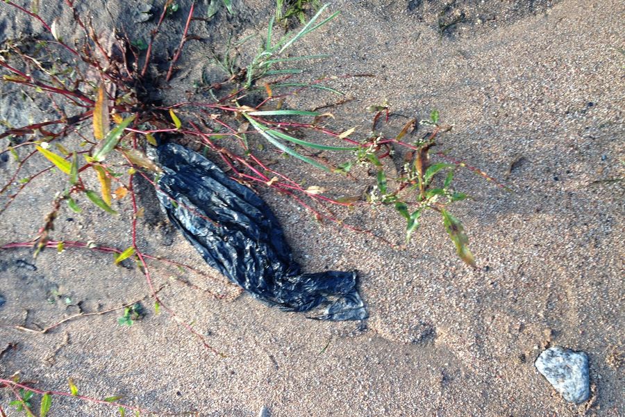 Fundbild der Gruppe Plastronauten