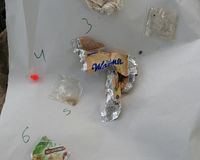 Fundbild der Gruppe Plastikpiraten am KWG