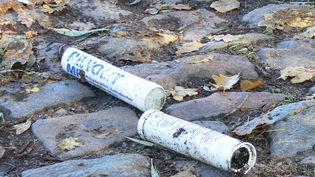 Fundbild der Gruppe Peeneschule Klasse 5