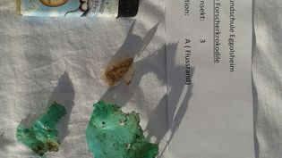 Fundbild der Gruppe Die Forscherkrokodile