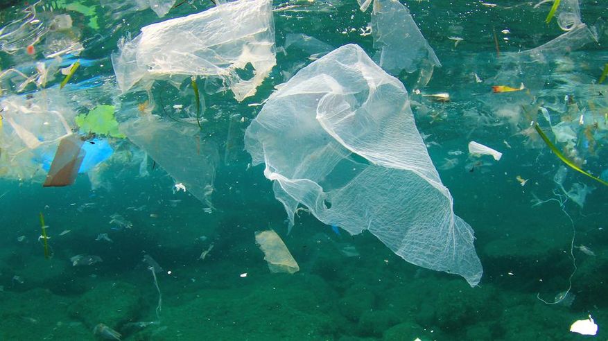 Foto, das Plastik im Wasser zeigt